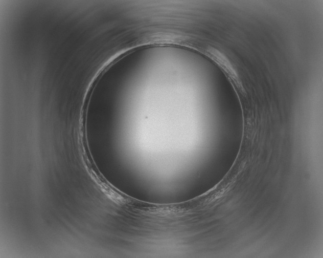 X0000076370948200610061055