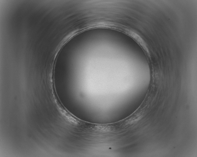 X0000076370954200610061055