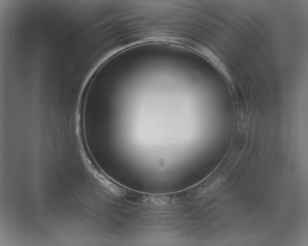 X0000076370955200610061055