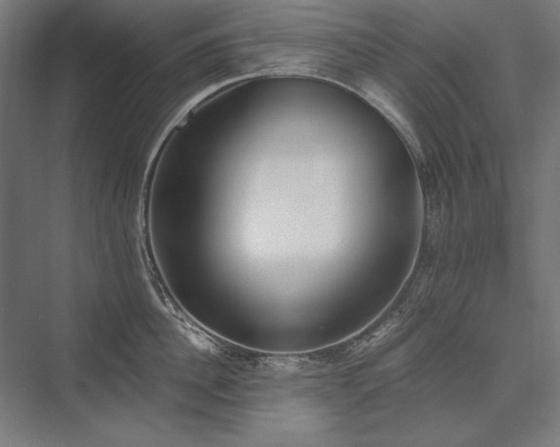 X0000076370956200610061055