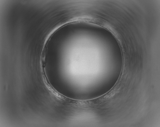 X0000076370960200610061055