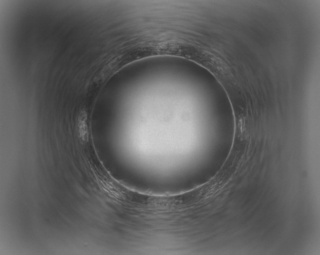X0000076370963200610061054