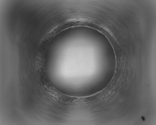 X0000076370967200610061054