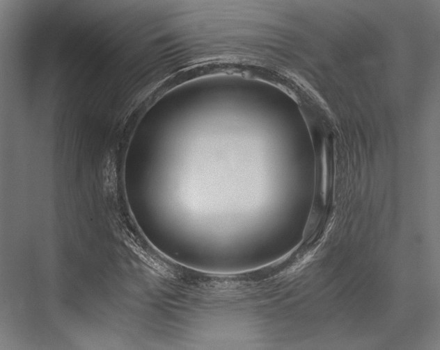 X0000076370969200610061054