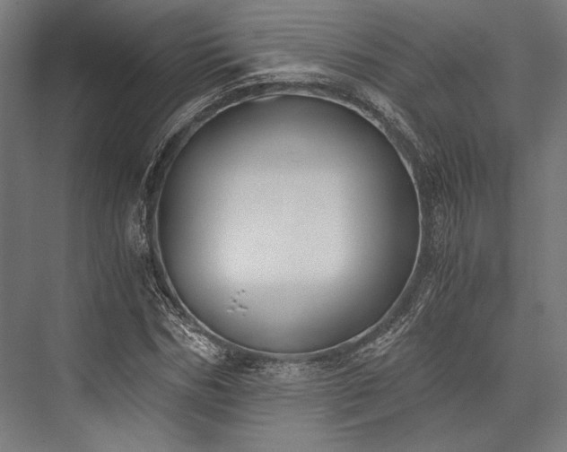 X0000076370970200610061054
