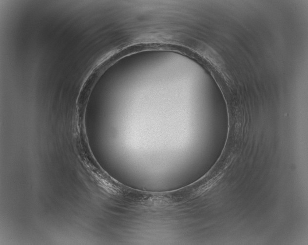 X0000076370974200610061054