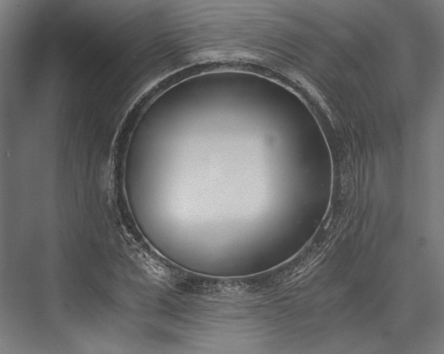 X0000076370975200610061054