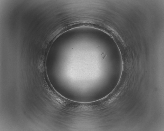 X0000076370977200610061054