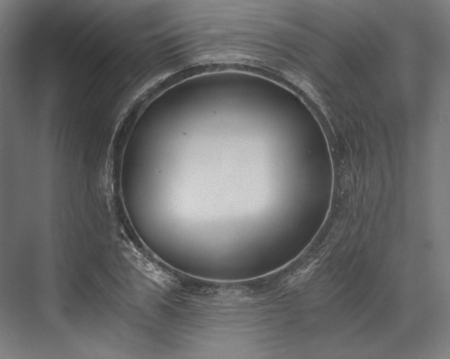 X0000076370979200610061054