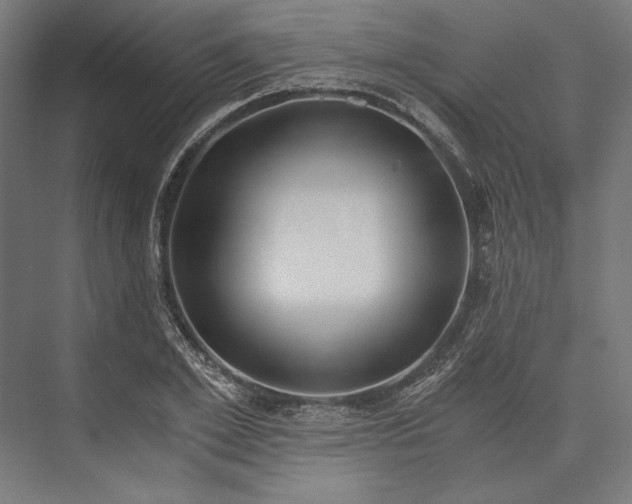 X0000076370981200610061054
