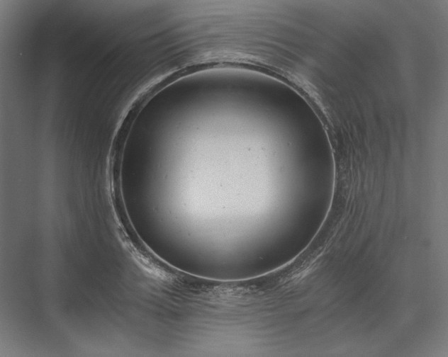 X0000076370987200610061054
