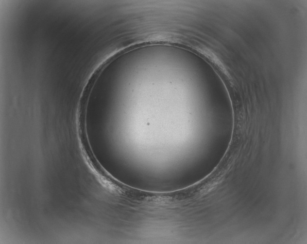 X0000076370991200610061054