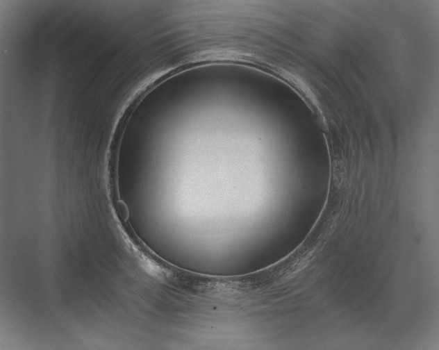 X0000076370995200610061054