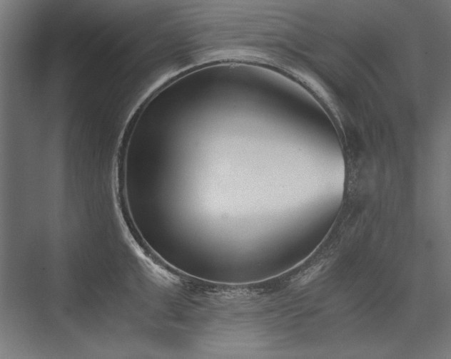 X0000076370999200610061053