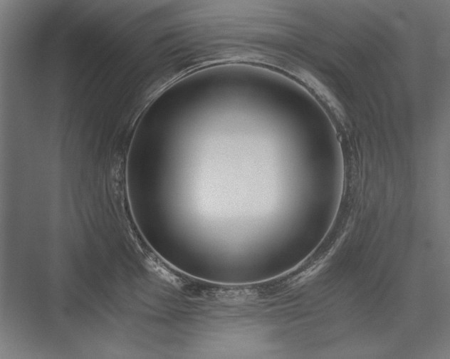 X0000076371001200610061053