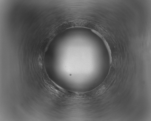 X0000076371010200610061052