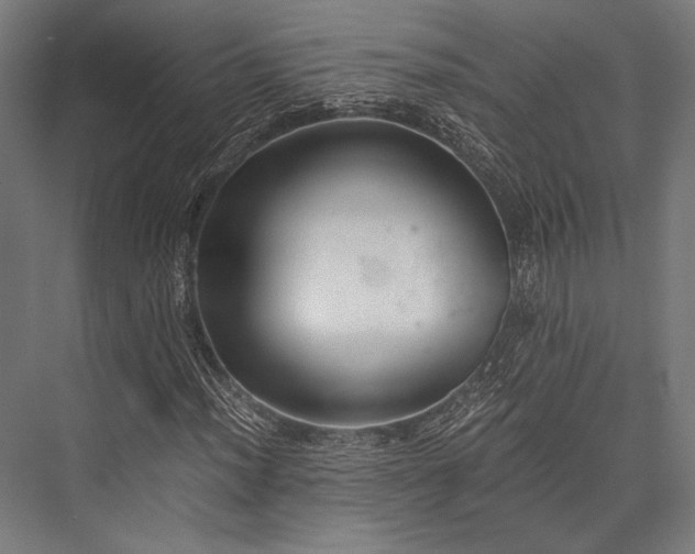 X0000076371012200610061053