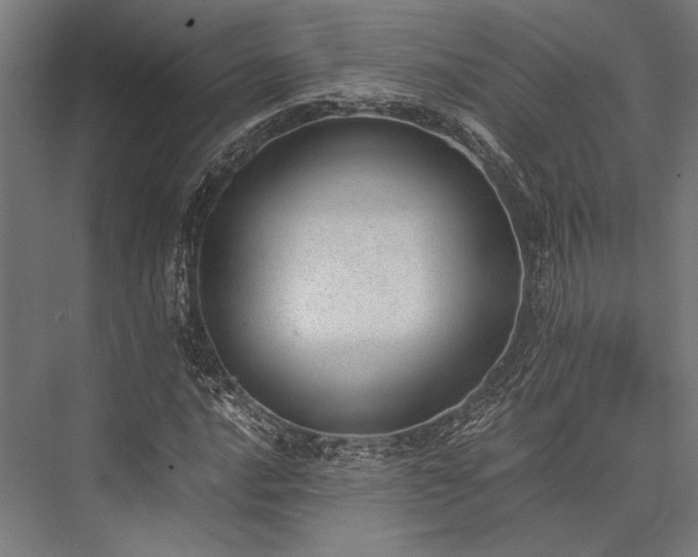 X0000076371016200610061053