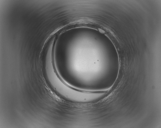 X0000076371018200610061053