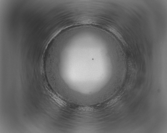 X0000076371023200610061053
