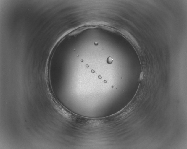 X0000076371044200610061053