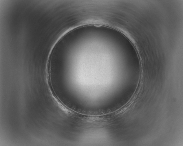 X0000076371056200610061053