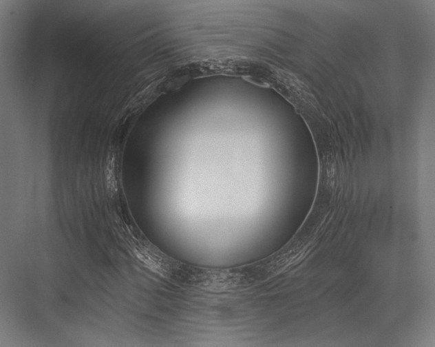 X0000076371060200610061052