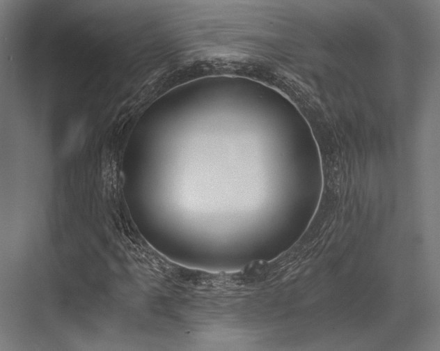 X0000076371061200610061052