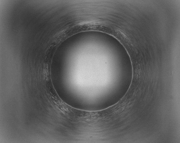 X0000076371062200610061052
