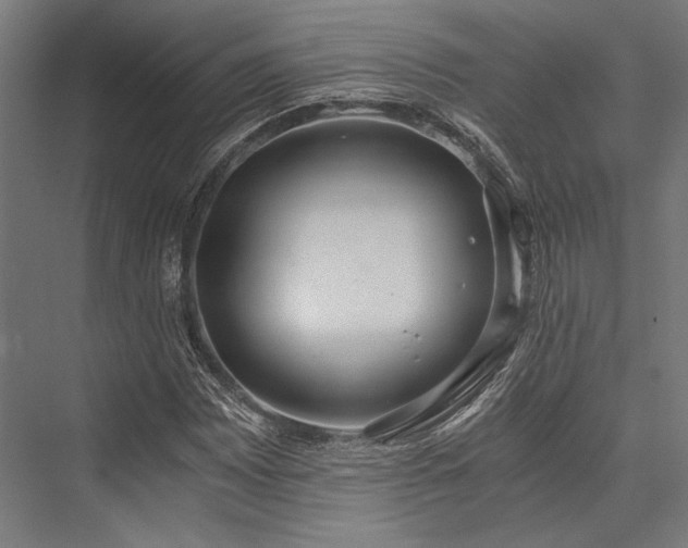 X0000076371065200610061052