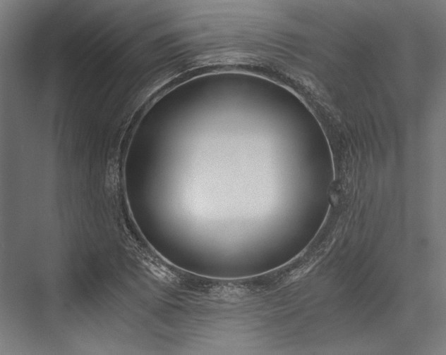 X0000076371073200610061052