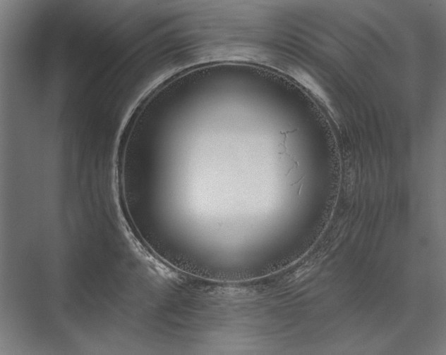 X0000076371088200610061052