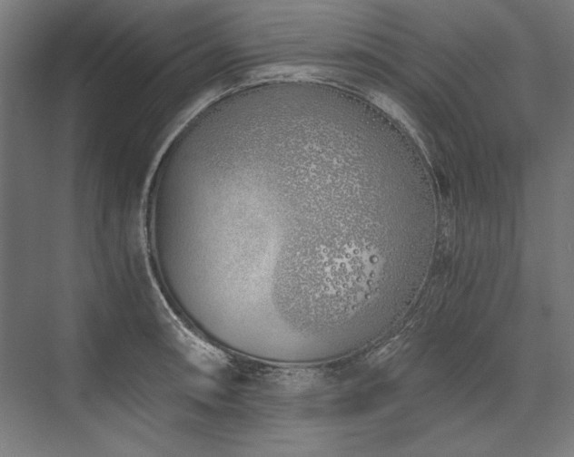 X0000076371090200610061052