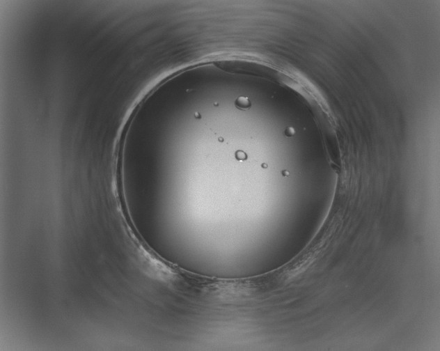 X0000076371102200610061052