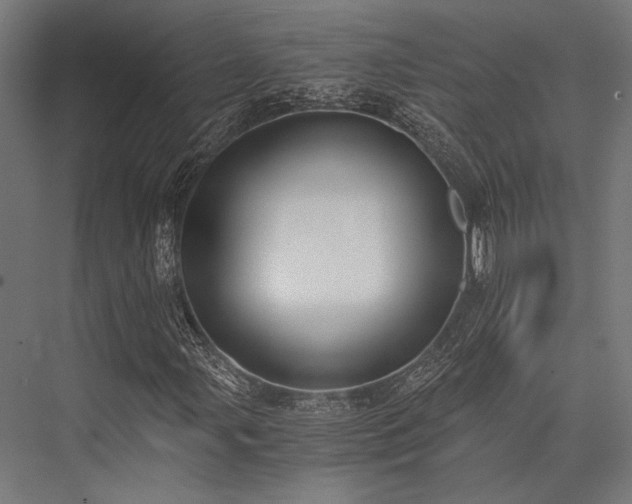 X0000076371107200610061051
