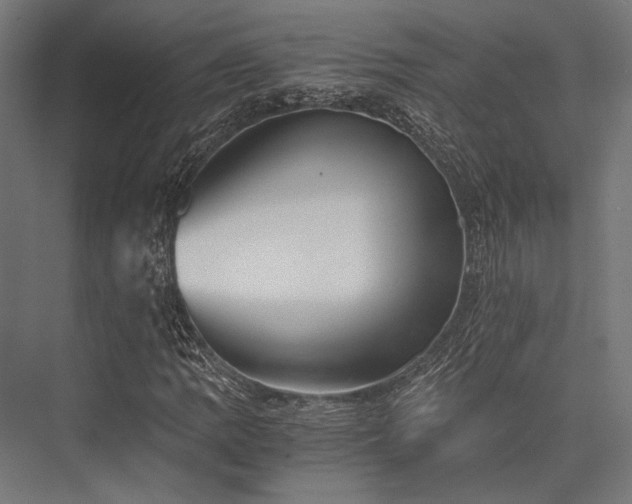 X0000076371109200610061051