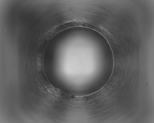 X0000076371110200610061051