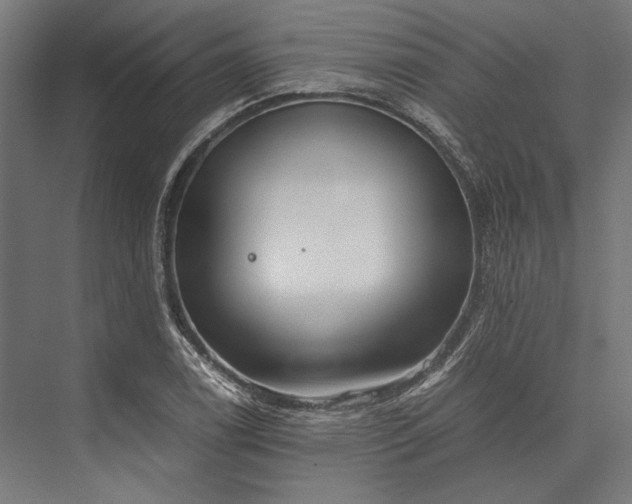 X0000076371122200610061051