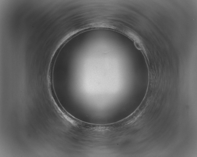 X0000076371141200610061051