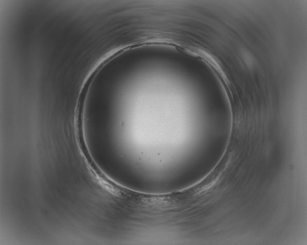 X0000076371149200610061052