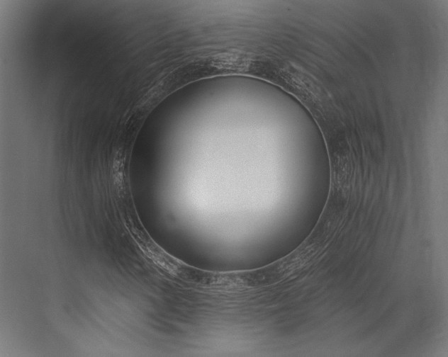 X0000076371154200610061051