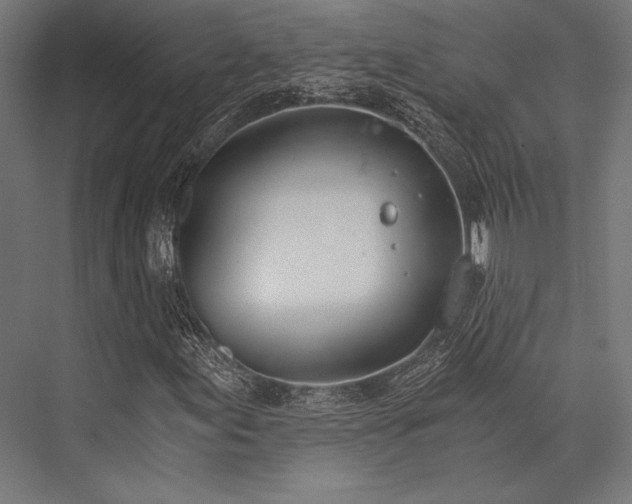 X0000076371155200610061051