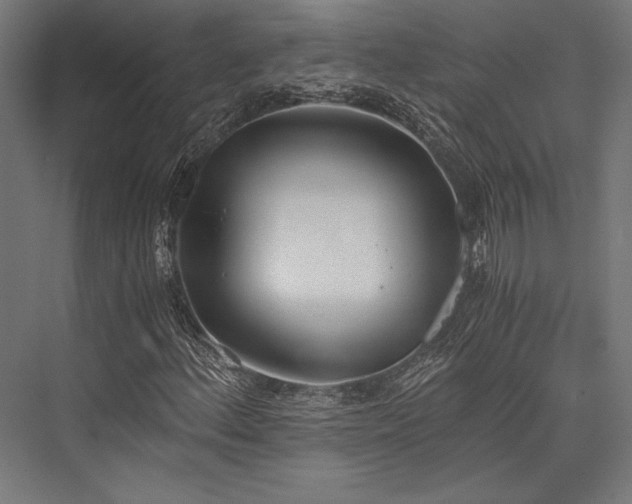 X0000076371156200610061051