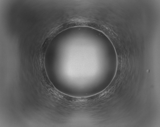 X0000076371157200610061051