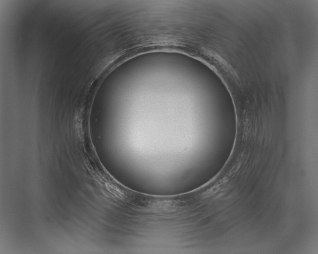 X0000076371162200610061051