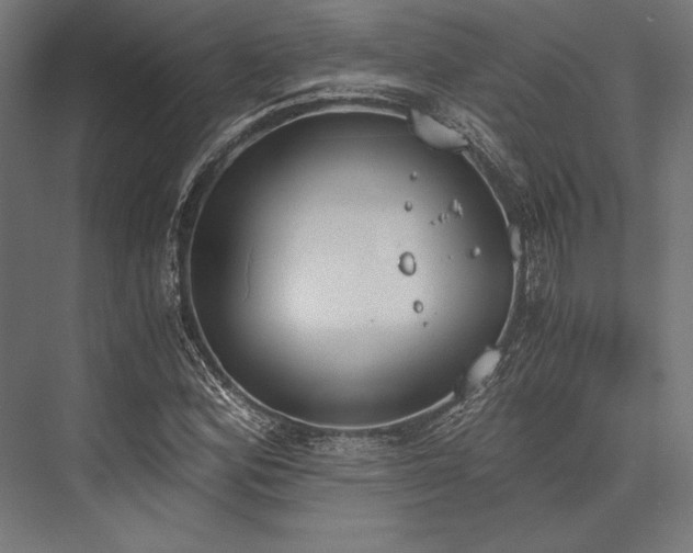 X0000076371164200610061051