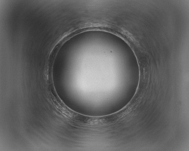 X0000076371165200610061051