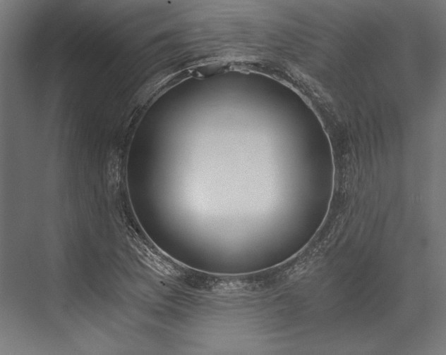 X0000076371169200610061051