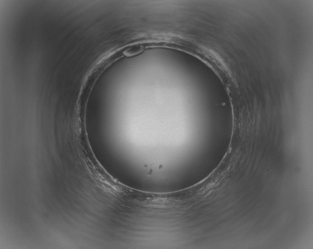 X0000076371172200610061050