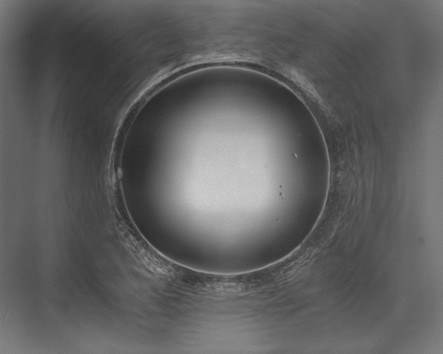 X0000076371173200610061050